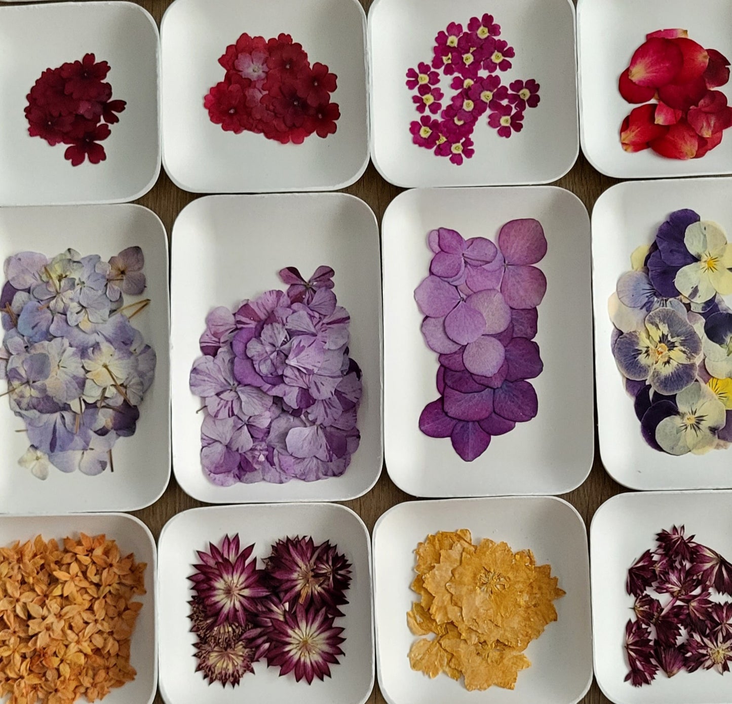WORKSHOP FLORI F. – CRÉATION D’UN HERBIER D'ART AVEC FLEURS SÉCHÉES À LUXEMBOURG (24/10/2025 - 17h15)