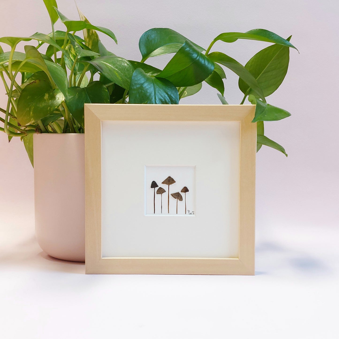 HERBIER D'ART "TROUPETTE"