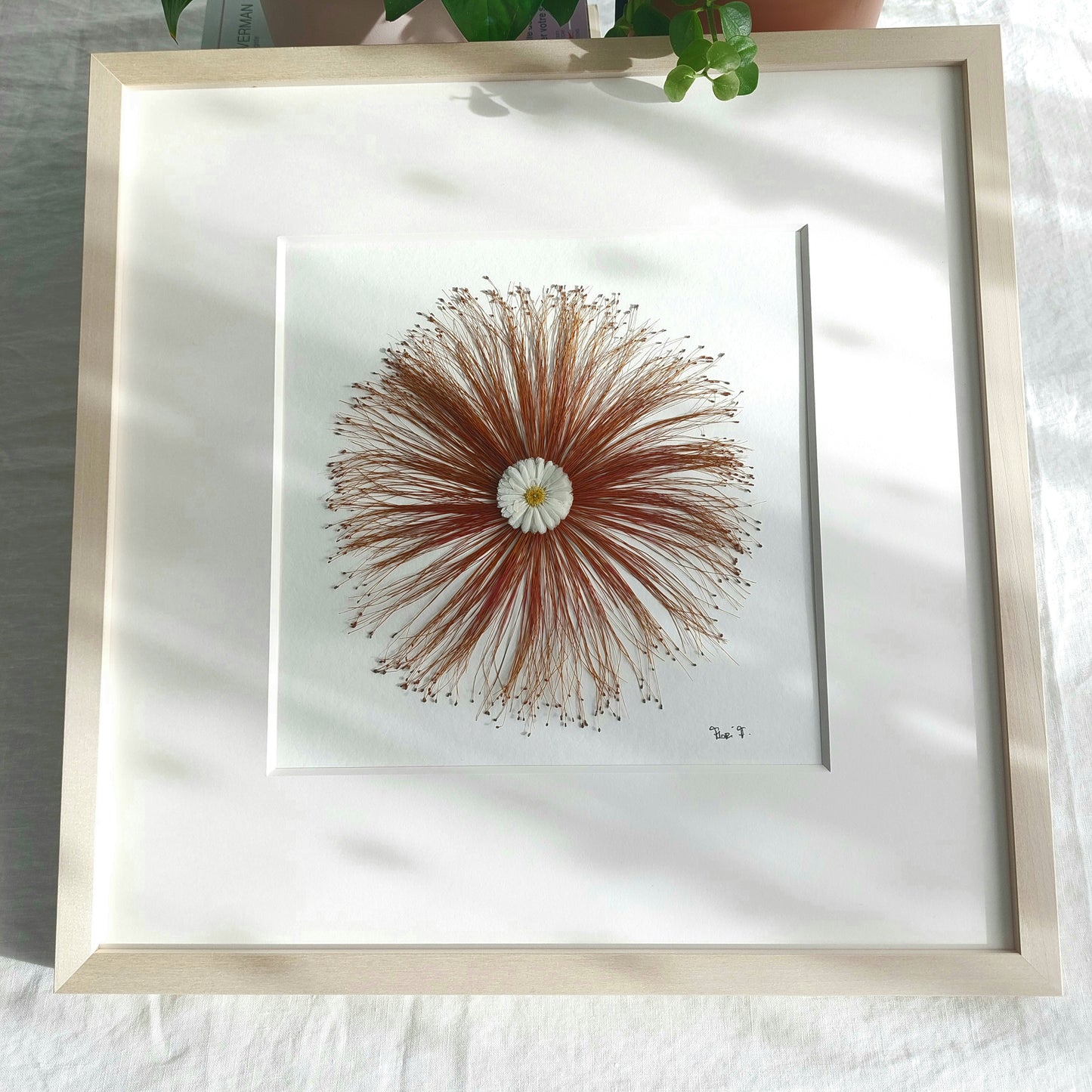 HERBIER D'ART "MÉTAMORPHOSÉE"