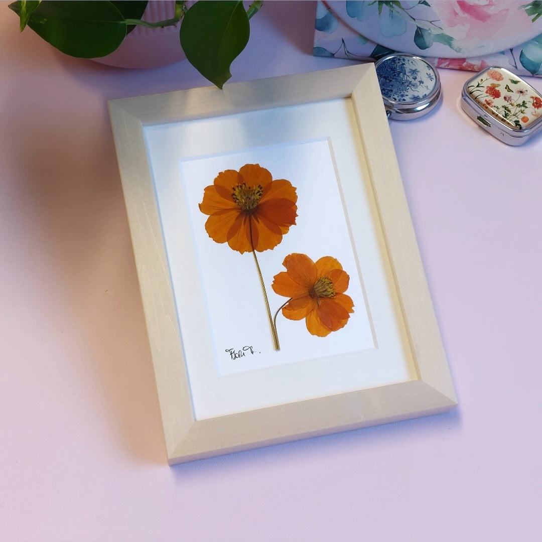HERBIER D'ART "MIRABELLE"