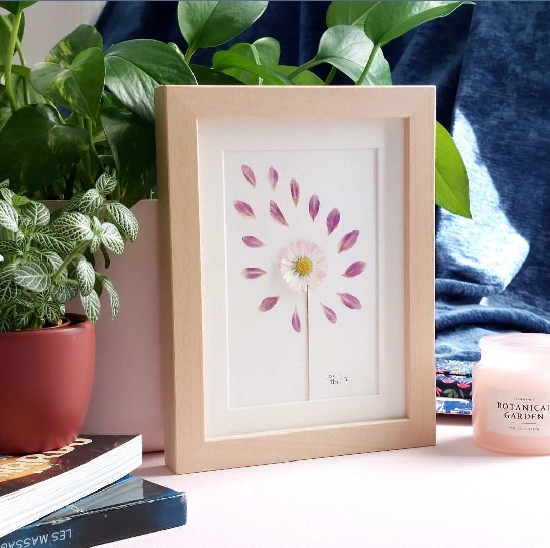 Herbier d'art au format 13/18 cm, composé d'une marguerite anglaise à tige, accompagnée d'une envolée de pétales de dahlia roses. Cadre en bois de tilleul haut de gamme fabriqué en Italie. Un cadeau idéal pour la fête des mères.