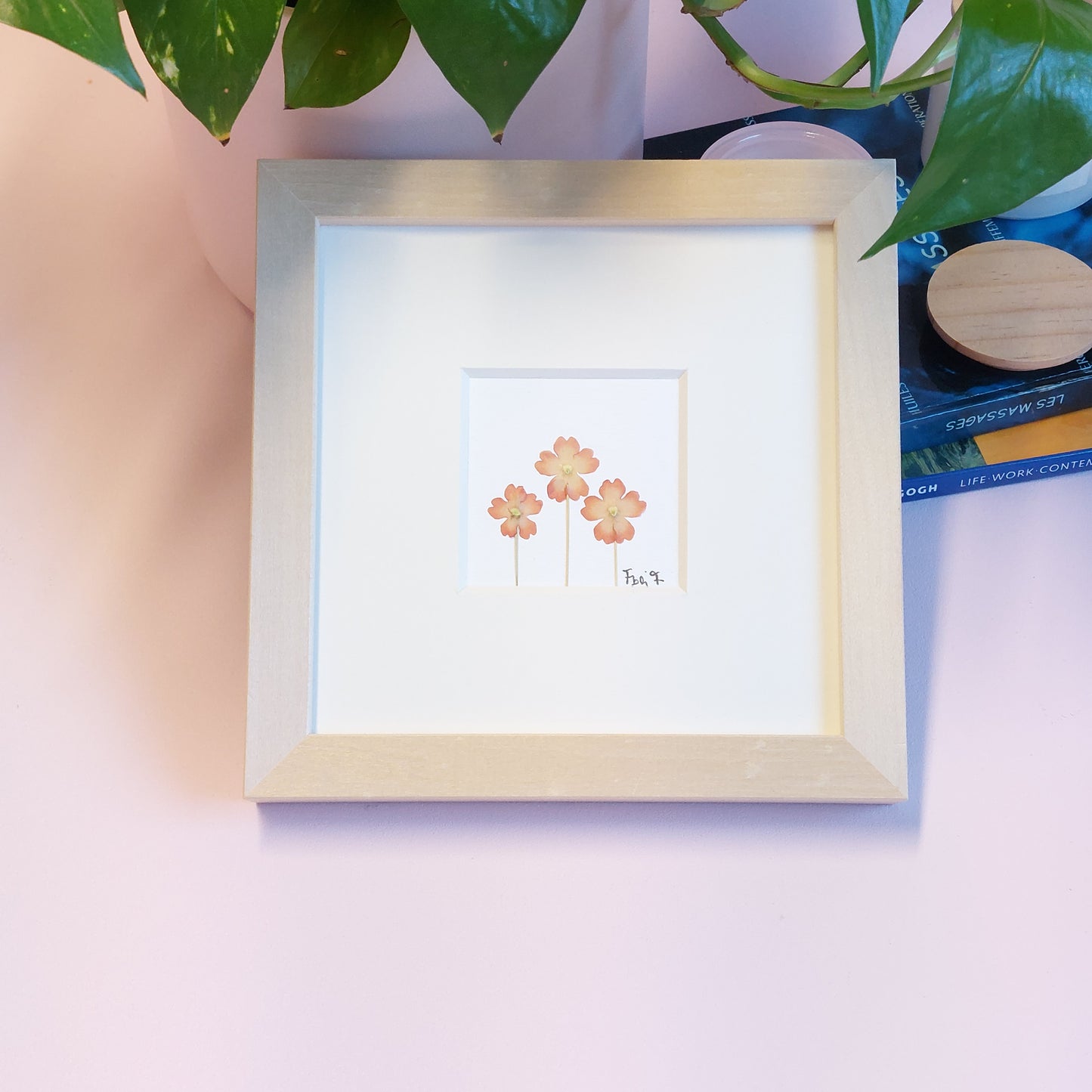 Herbier d'art fait avec des fleurs de verveine couleur pêche pressées et séchées naturellement.