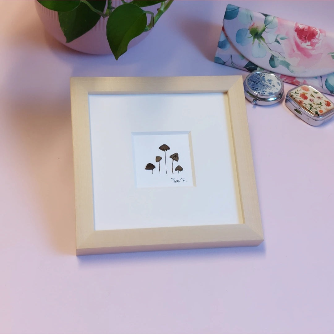 Herbier d'art fait avec des champignons pressées et séchées naturellement.