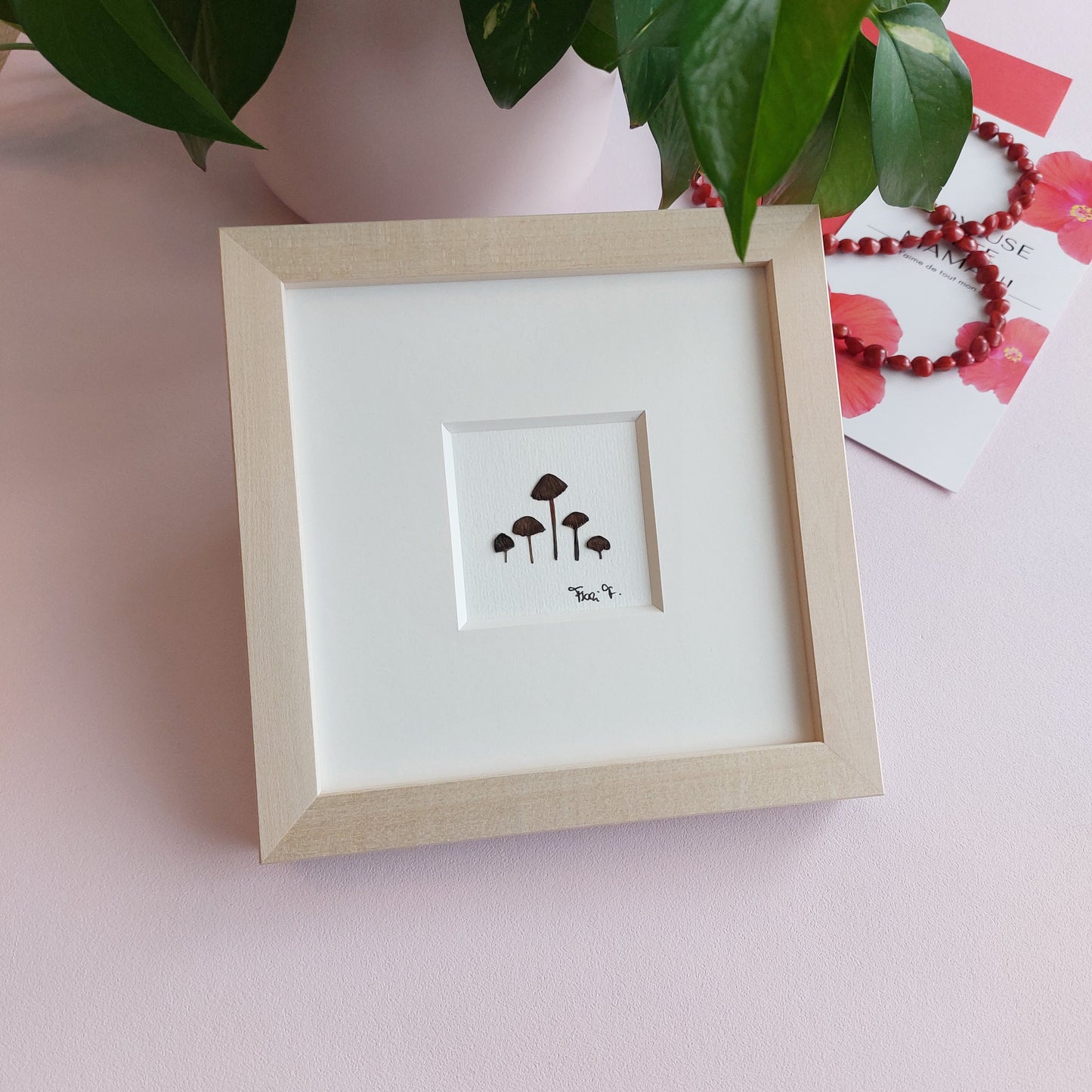 Herbier d'art fait avec des champignons pressées et séchées naturellement.