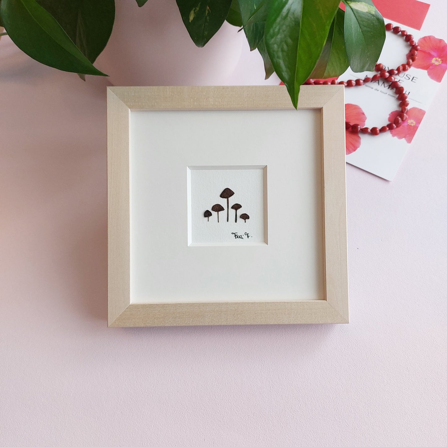 Herbier d'art fait avec des champignons pressées et séchées naturellement.