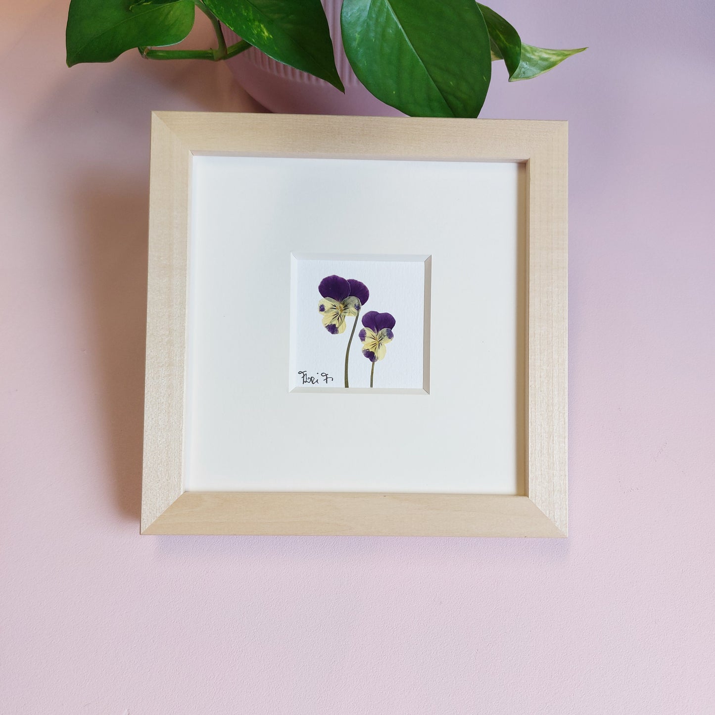 Herbier d'art fait avec des fleurs pressées et séchées naturellement.
