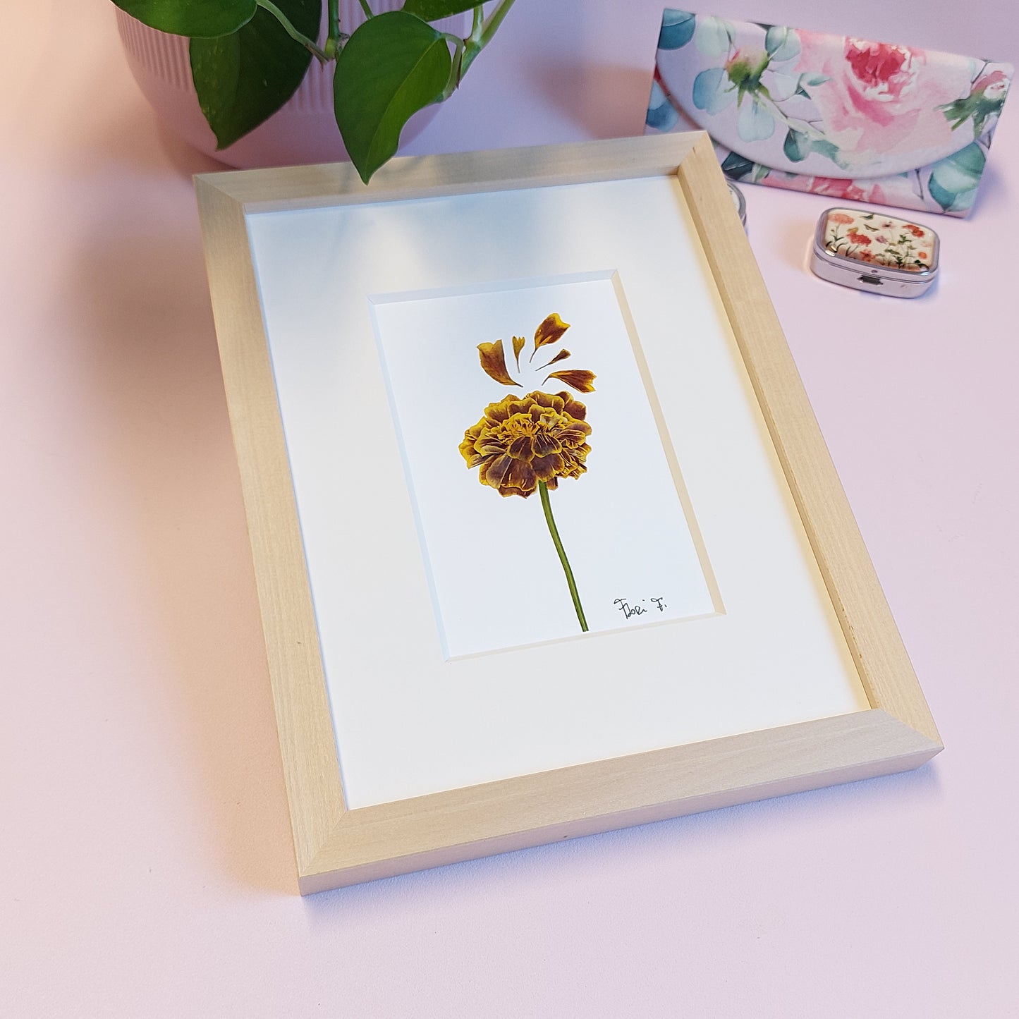 Herbier d'art réalisé avec un œillet d'Inde à tige, sublimé par de magnifiques pétales issus de la même fleur, de provenance locale.