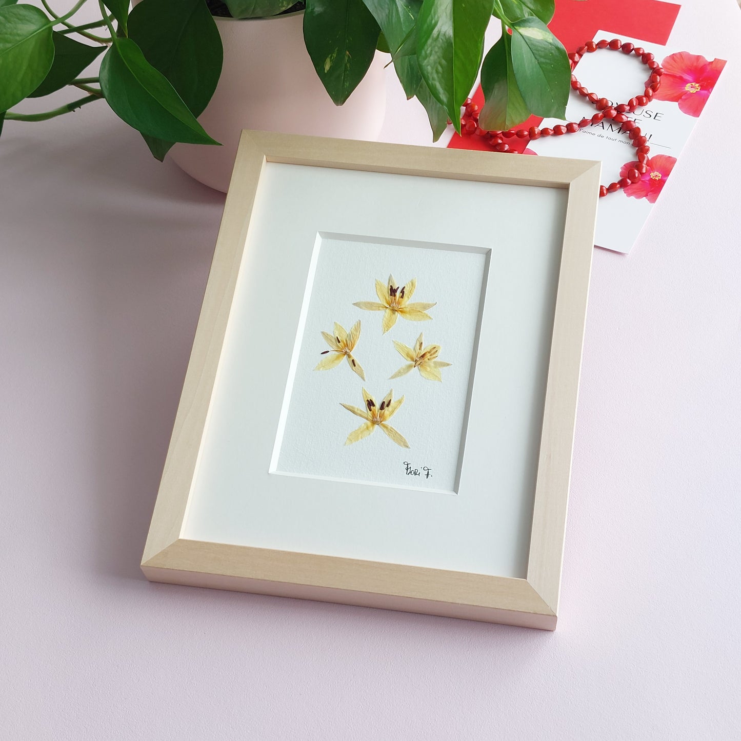 Herbier d'art fait avec des tulipes sauvages pressées et séchées naturellement.