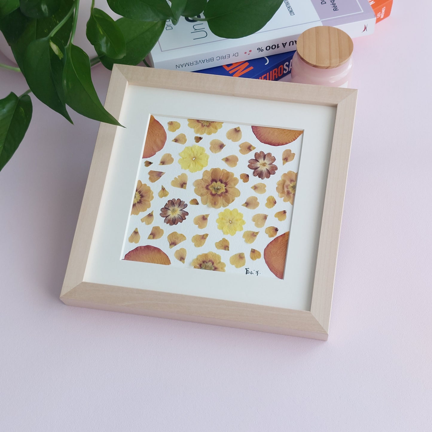 Herbier fleurs séchées fait avec des primevères multi couleurs.