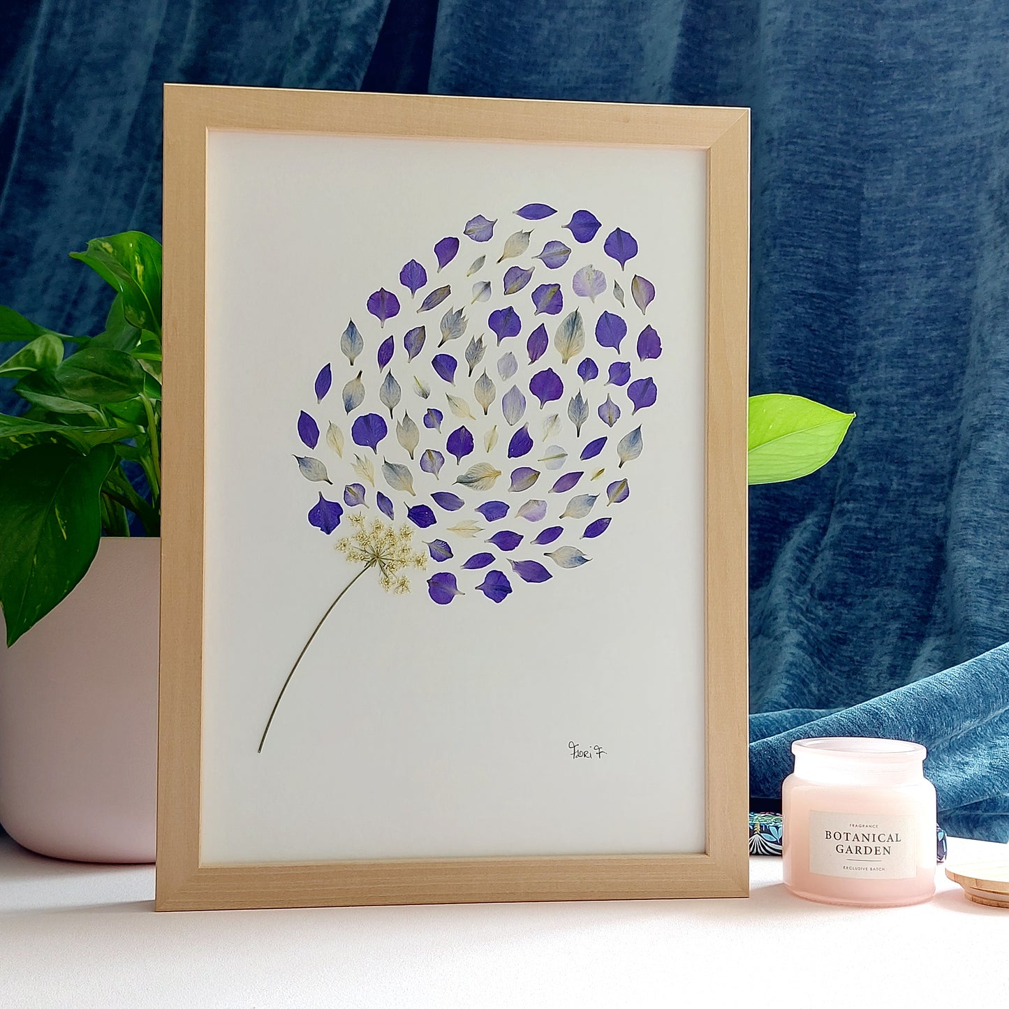 Herbier d'art au format A4, composé d'une fleur de carotte sauvage à tige, accompagnée d'une envolée de pétales de delphinium bleu. Cadre en bois de tilleul haut de gamme fabriqué en Italie.
