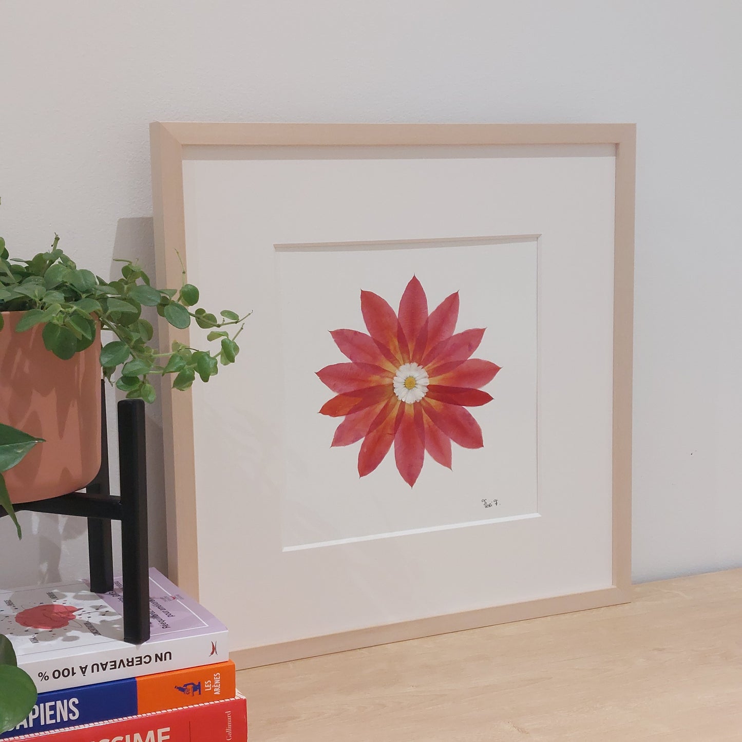 Herbier d’art encadré – LE CADEAU IDÉAL POUR LA FÊTE DES MÈRES !
Élégance et douceur se rencontrent dans cette création au format 40x40 cm, composée d'un cactus rouge et une marguerite anglaise. Un tableau floral rare, sublimé par un passepartout haut de gamme.