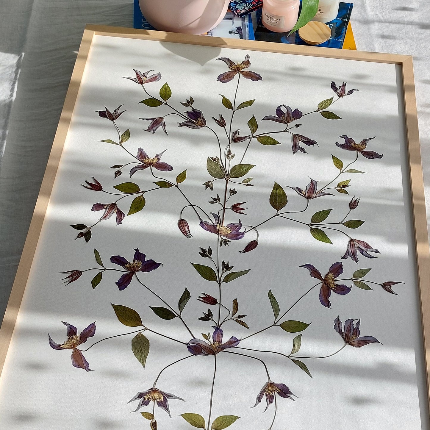 Herbier d'art encadré de la collection Les Expressifs, composé des clématites. Les végétaux sont pressés et séchés naturellement pour préserver leur délicatesse. Présenté dans un cadre en bois de tilleul éco-responsable. Pour une conservation optimale, évitez l'exposition directe au soleil ou à l'humidité. Usage exclusivement visuel, reproduction interdite.