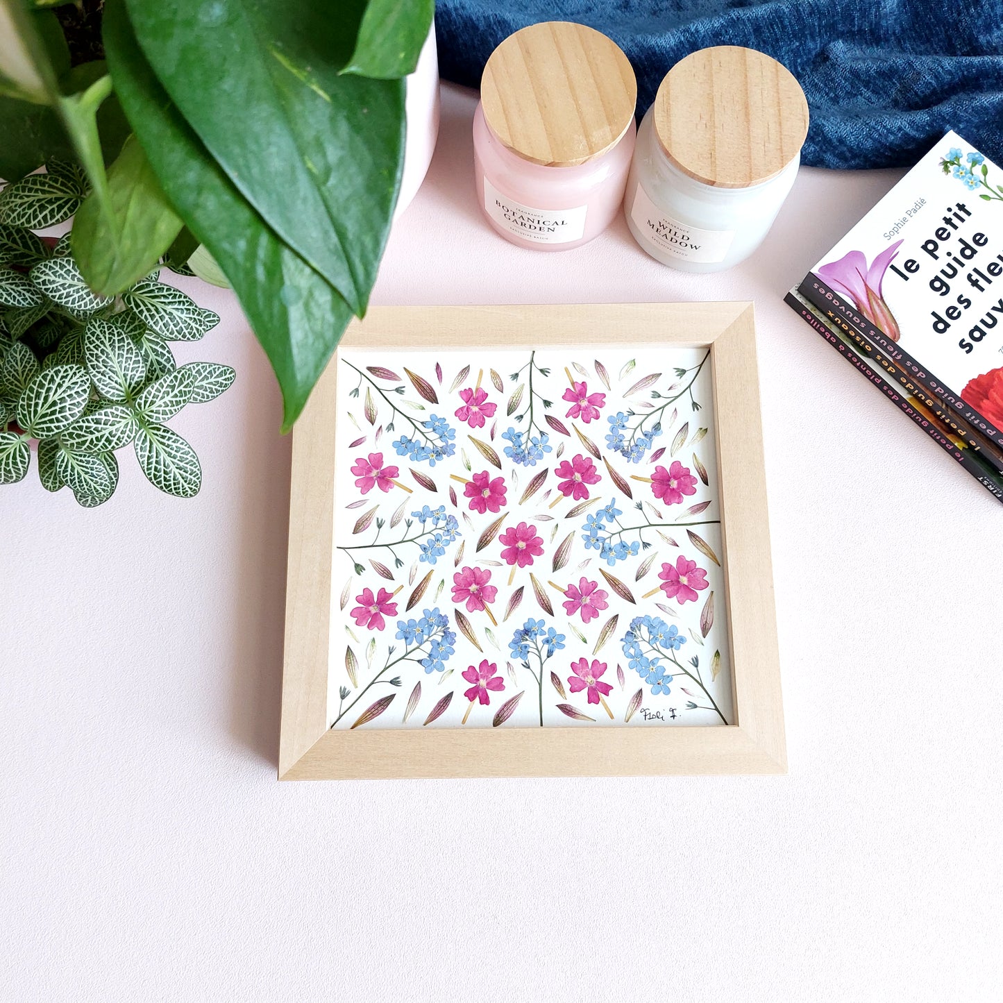 Herbier fleurs séchées Flori F. couleur rose et bleu.