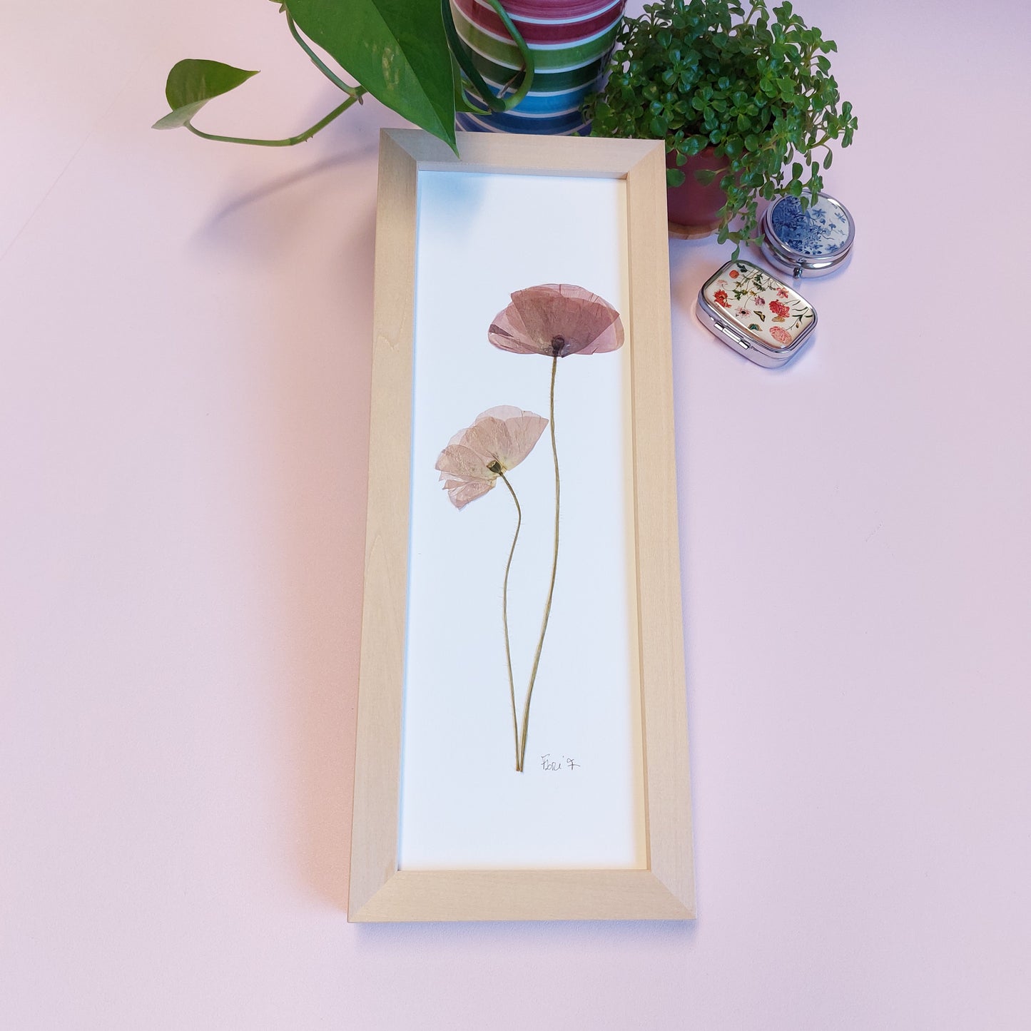 Herbarium made in France with red poppies.