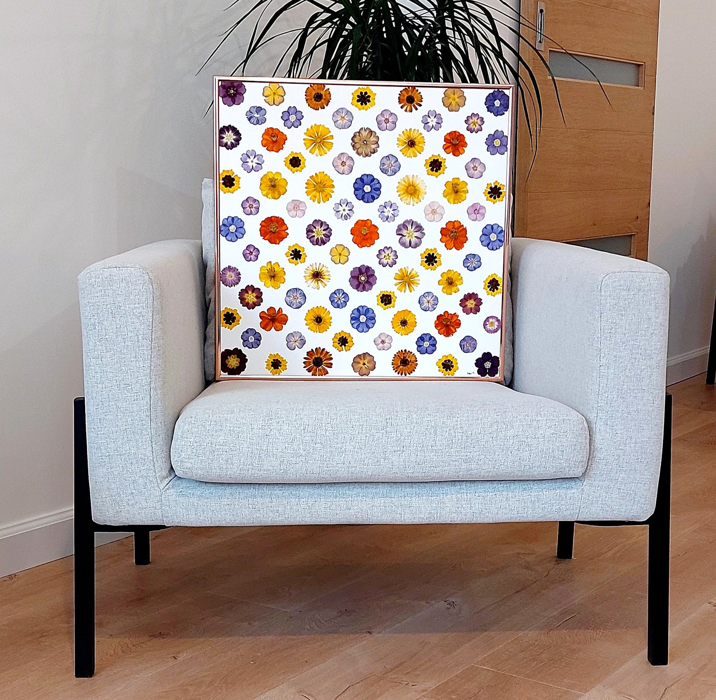 Herbier d'art poétique fait avec des fleurs pressées et séchées naturellement (cosmos, primula, osteospermum, phlox). Illustration botanique faite avec des fleurs naturelles.