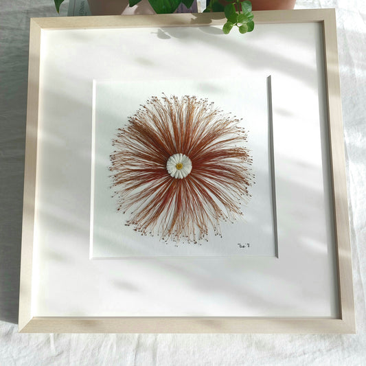 HERBIER D'ART "MÉTAMORPHOSÉE"