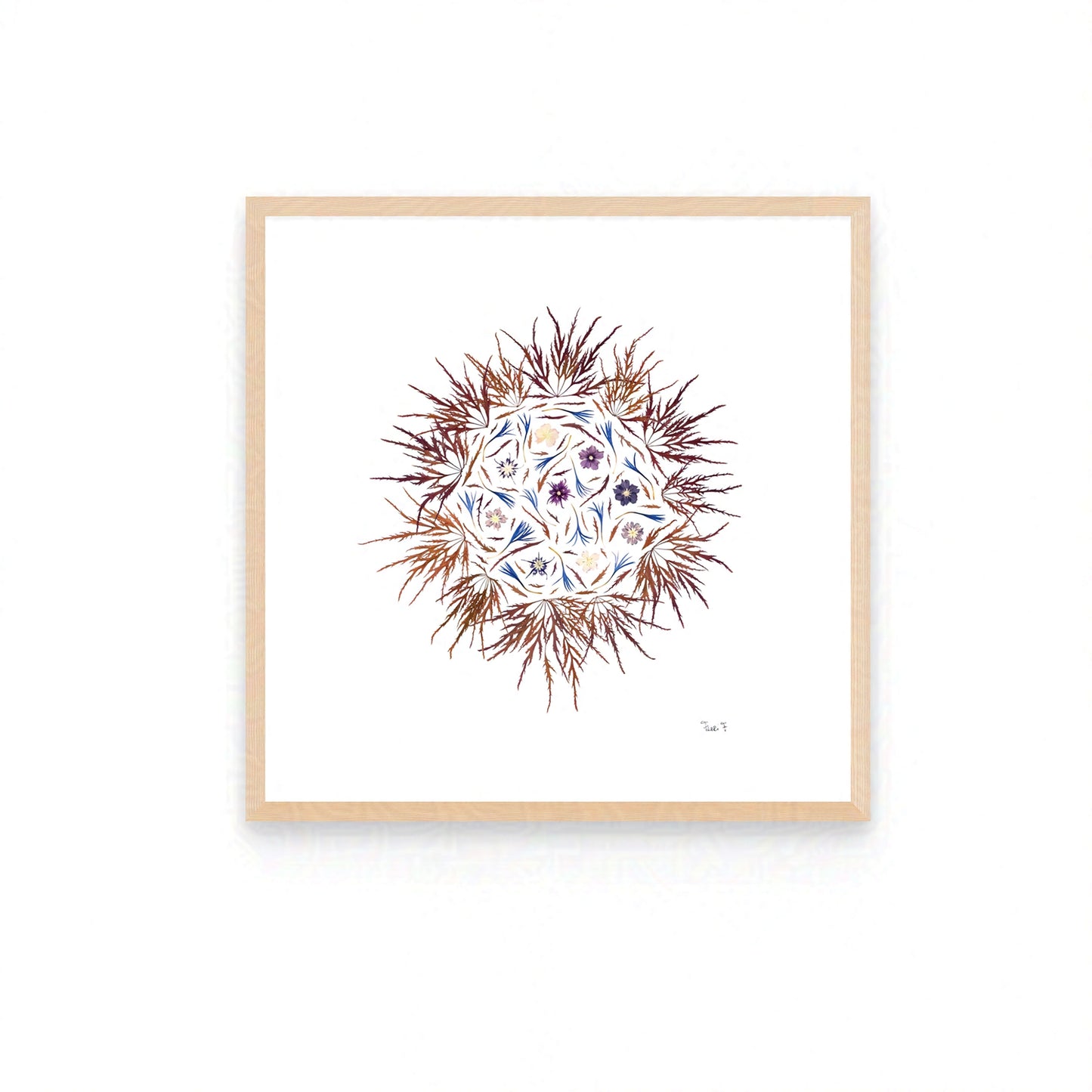 AUTUMN SUN  — ORIGINAL BOTANICAL ARTWORK | PRIVATE COLLECTION, LONDON