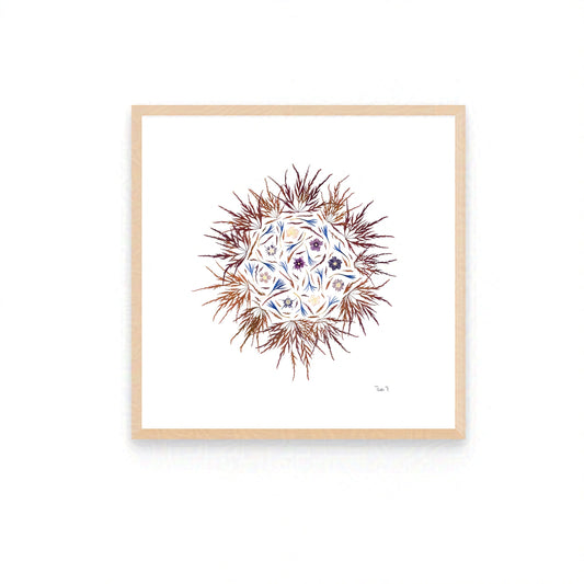 AUTUMN SUN  — ORIGINAL BOTANICAL ARTWORK | PRIVATE COLLECTION, LONDON