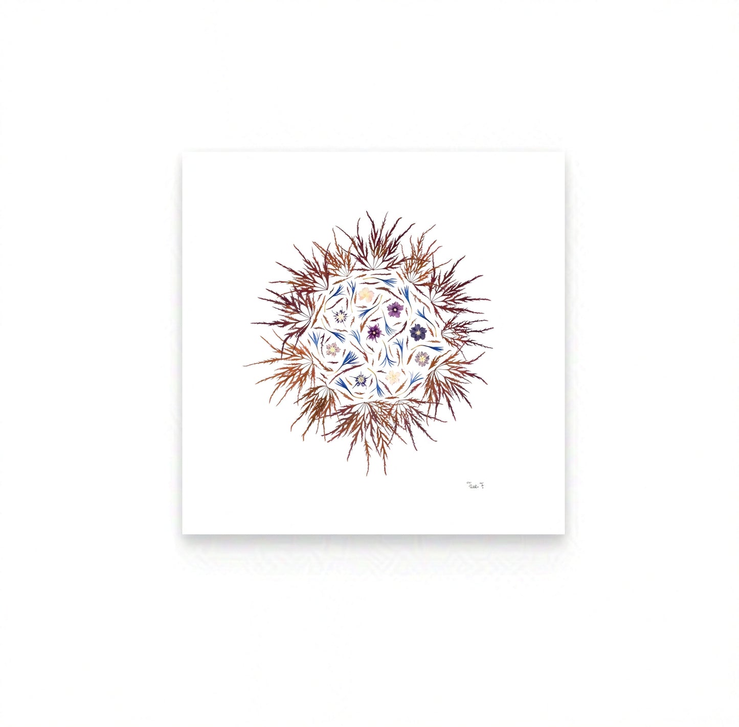 SOLEIL D'AUTOMNE — ŒUVRE D'ART BOTANIQUE | ÉDITION D'ART CERTIFIÉE