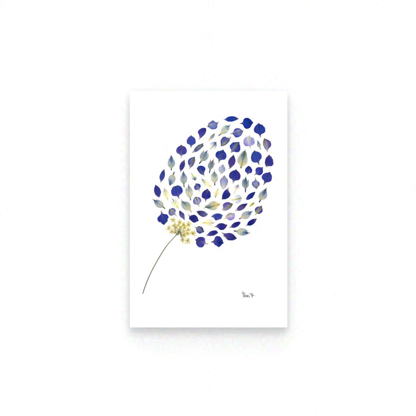 NOCTURNE — ŒUVRE D'ART BOTANIQUE | ÉDITION D'ART CERTIFIÉE