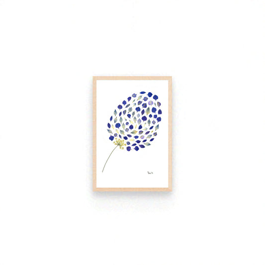 NOCTURNE — ORIGINAL BOTANICAL ARTWORK | PRIVATE COLLECTION, LUXEMBOURG