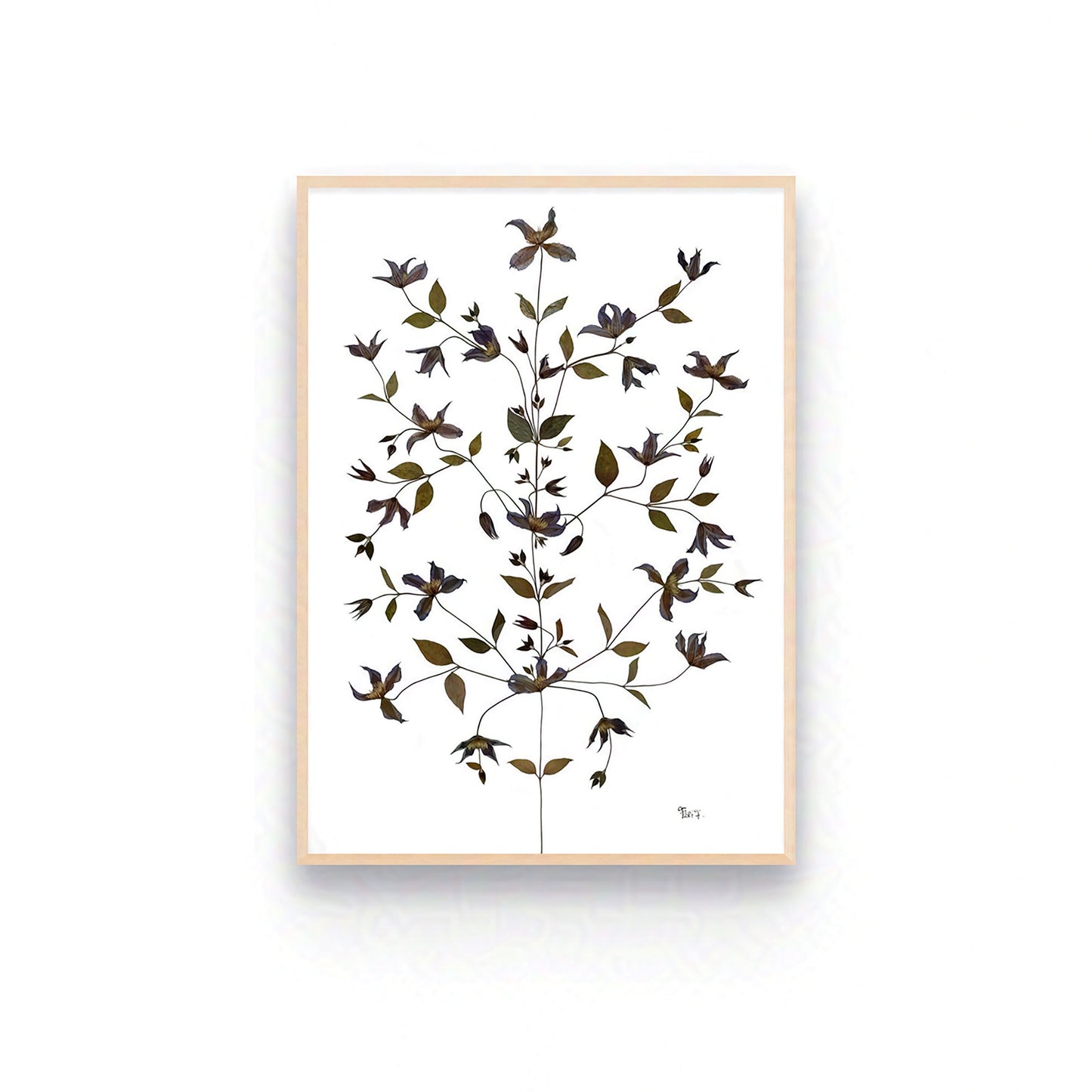 ARBORESCENCE — ŒUVRE BOTANIQUE ORIGINALE | COLLECTION PRIVÉE, FRANCE