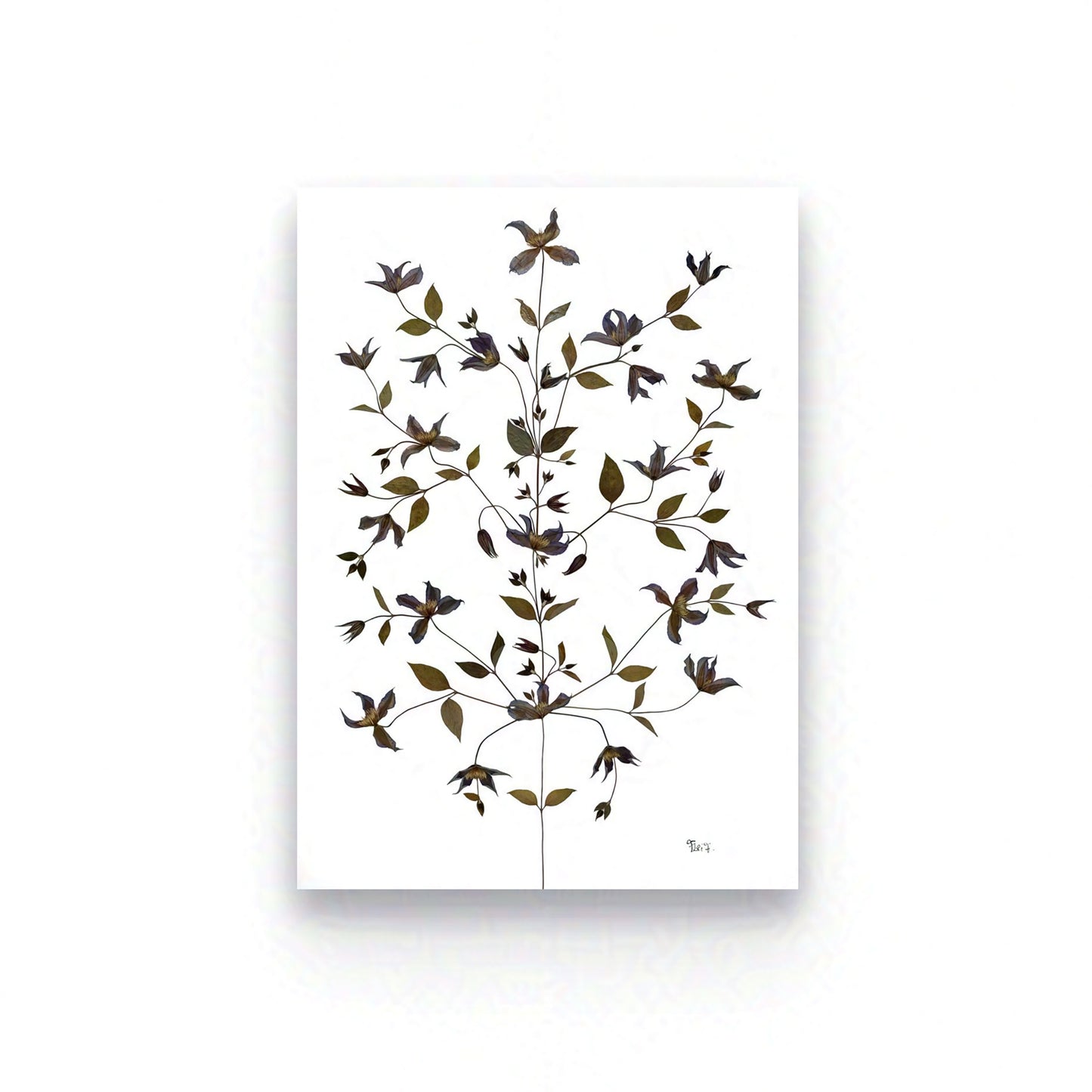 ARBORESCENCE — ŒUVRE D'ART BOTANIQUE | ÉDITION D'ART CERTIFIÉE