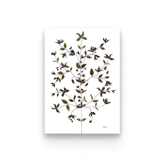 ARBORESCENCE  — BOTANICAL ARTWORK |  CERTIFIED FINE ART EDITION