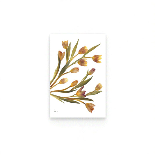 SPRING TIDE  — BOTANICAL ARTWORK |  CERTIFIED FINE ART EDITION