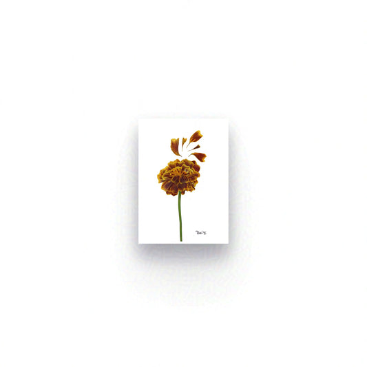EMBER — BOTANICAL ARTWORK |  OPEN FINE ART EDITION