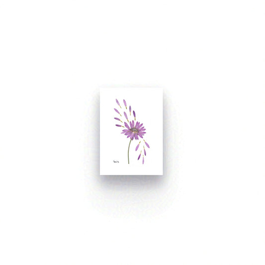 DRIFT — BOTANICAL ARTWORK |  OPEN FINE ART EDITION