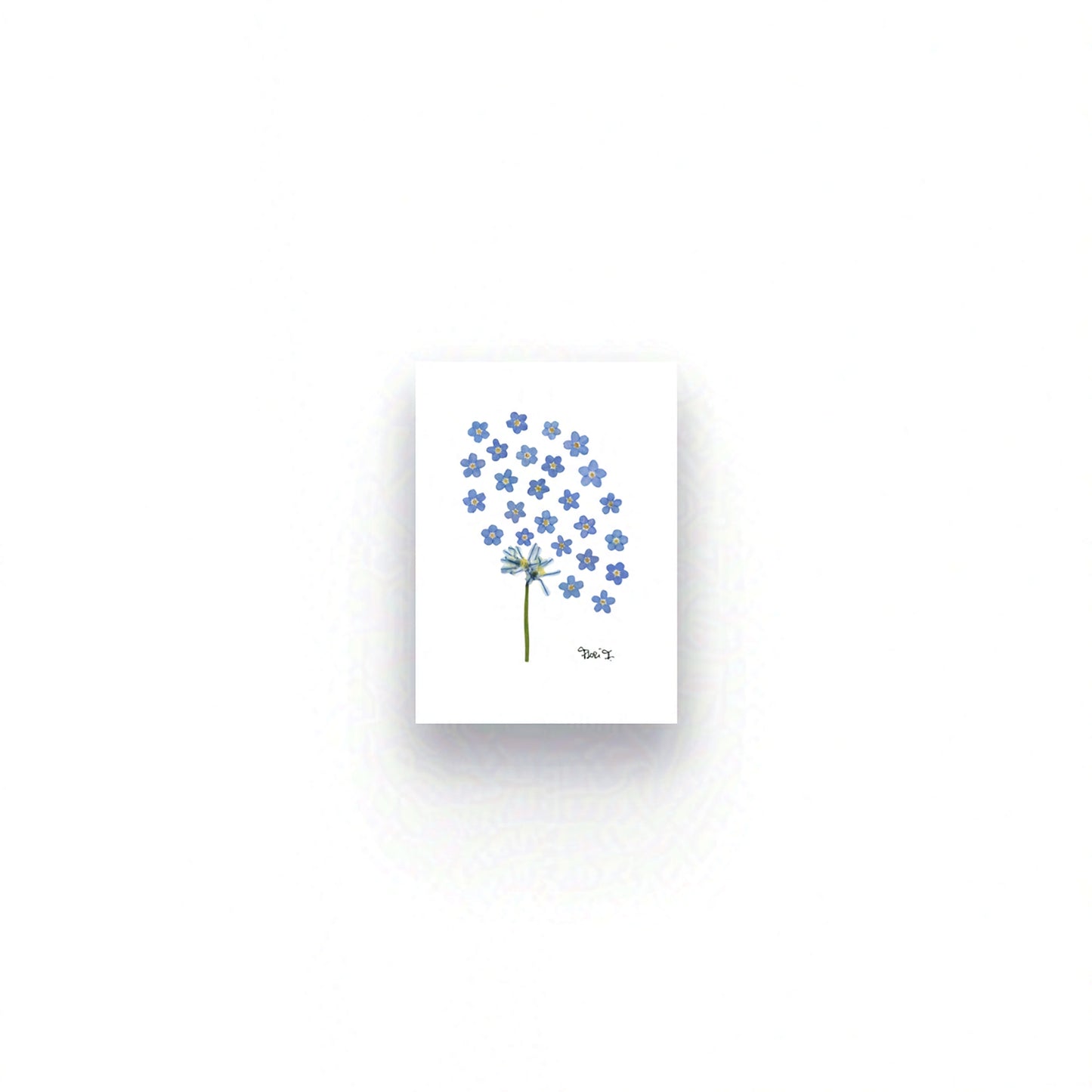 MIST — BOTANICAL ARTWORK |  OPEN FINE ART EDITION