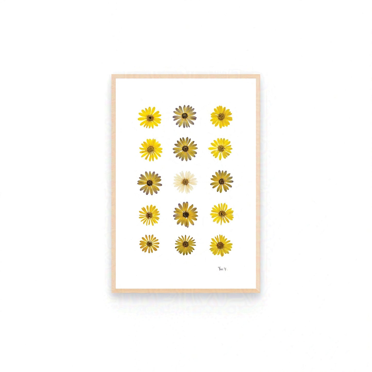 SUNLIGHT — ŒUVRE BOTANIQUE ORIGINALE | COLLECTION PRIVÉE, FRANCE