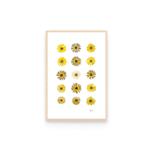 SUNLIGHT — ORIGINAL BOTANICAL ARTWORK | PRIVATE COLLECTION, FRANCE