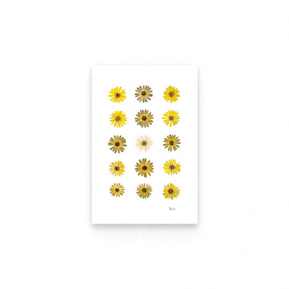 LUMIÈRE DU SOLEIL — ŒUVRE D'ART BOTANIQUE | ÉDITION D'ART CERTIFIÉE