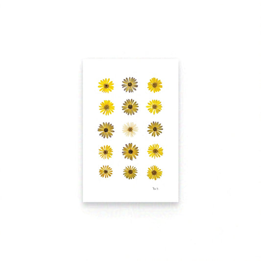 SUNLIGHT — BOTANICAL ARTWORK |  CERTIFIED FINE ART EDITION