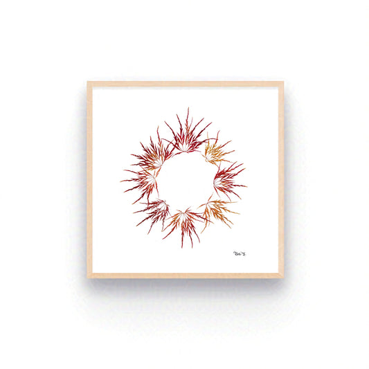 CORONA — ORIGINAL BOTANICAL ARTWORK | PRIVATE COLLECTION, SWITZERLAND