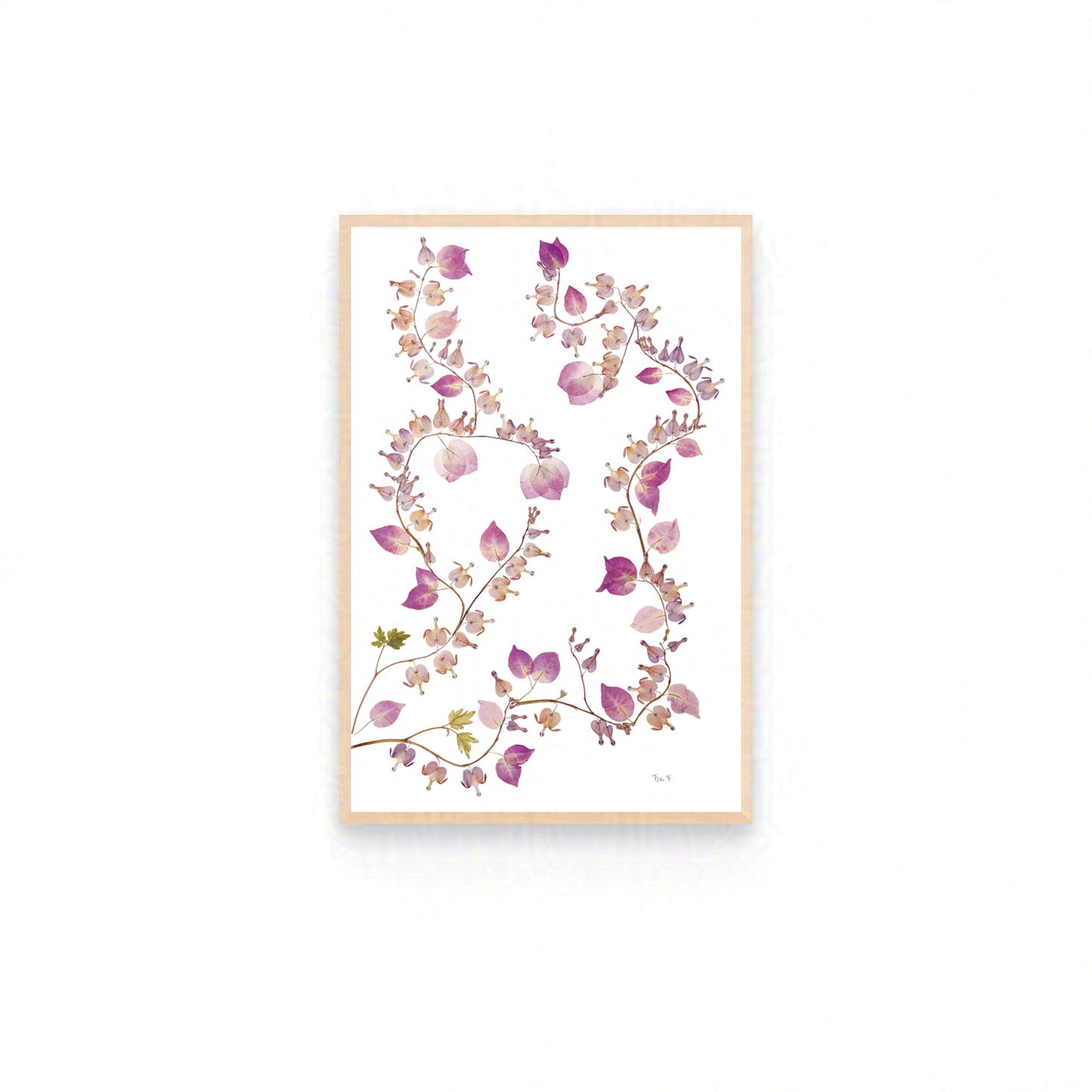 QUIET MOMENT — ORIGINAL BOTANICAL ARTWORK | PRIVATE COLLECTION, LUXEMBOURG