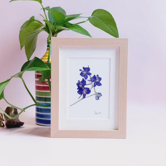 Herbier d'art minimaliste, réalisé avec des fleurs d'alouette de provenance locale (Luxembourg).