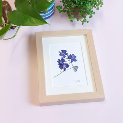 Herbier d'art minimaliste, réalisé avec des fleurs d'alouette de provenance locale (Luxembourg).