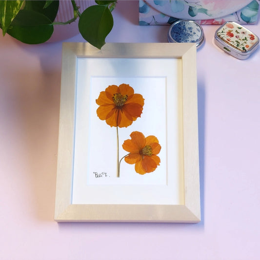 HERBIER D'ART "MIRABELLE"