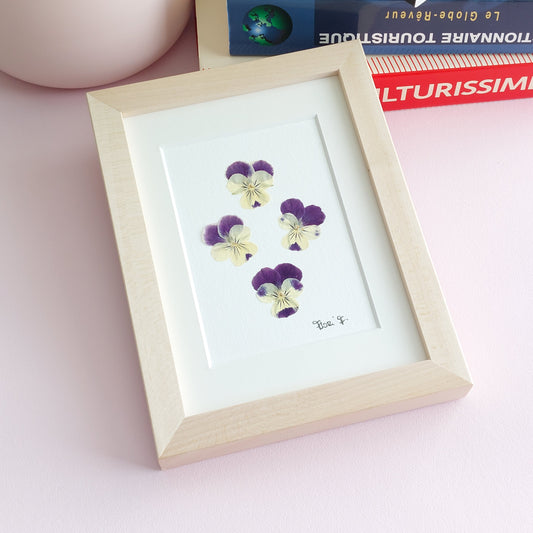 Composition florale encadrée faisant partie de la collection Les Minimalistes, réalisée avec des 4 pensées bleu et jaune,  issues de sources locales.