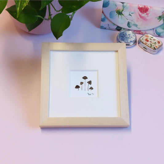 Herbier d'art fait avec des champignons pressées et séchées naturellement.  