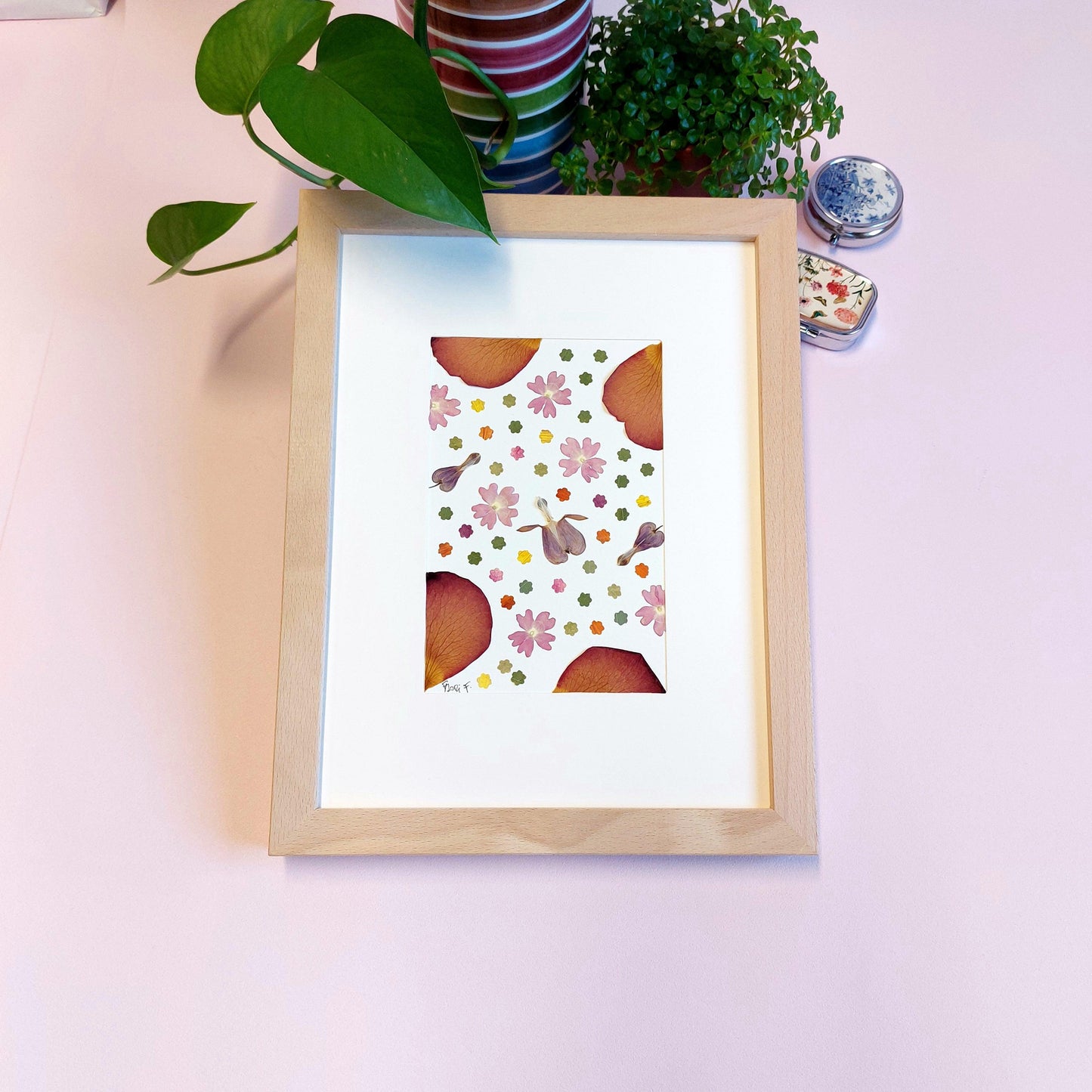 HA18242409234 Herbier d'art Flori F.  fait avec des fleurs de verveine couleur rose et  fleurs de Cœur de Marie, ainsi que des découpes des pétales de rose, des pétales de fleurs de Cosmos , et des pétales de Dahlia.  Cadre en bois de hêtre haut de gamme fait en Italie.  