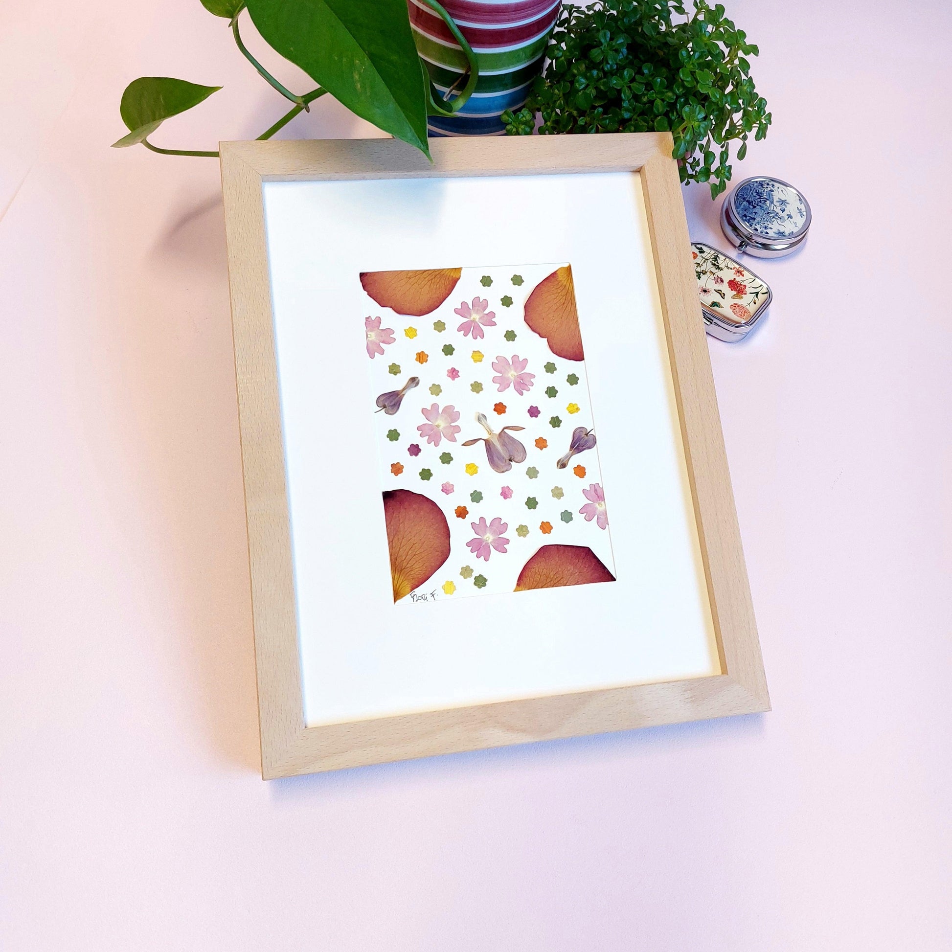 Herbier d'art Flori F.  fait avec des fleurs de verveine couleur rose et  fleurs de Cœur de Marie, ainsi que des découpes des pétales de rose, des pétales de fleurs de Cosmos , et des pétales de Dahlia.  Cadre en bois de hêtre haut de gamme fait en Italie.  