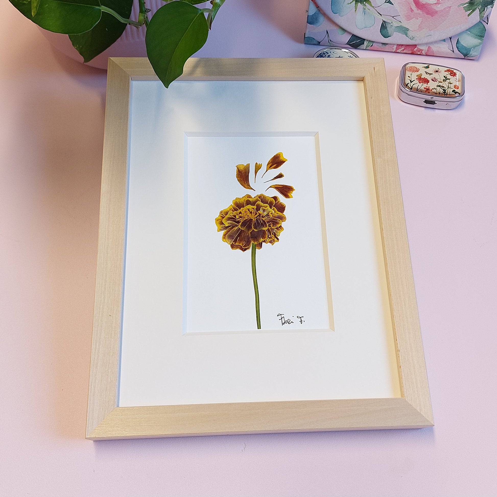 Herbier de fleurs séchées, réalisé avec un œillet d'Inde à tige, sublimé par de magnifiques pétales issus de la même fleur, de provenance locale.