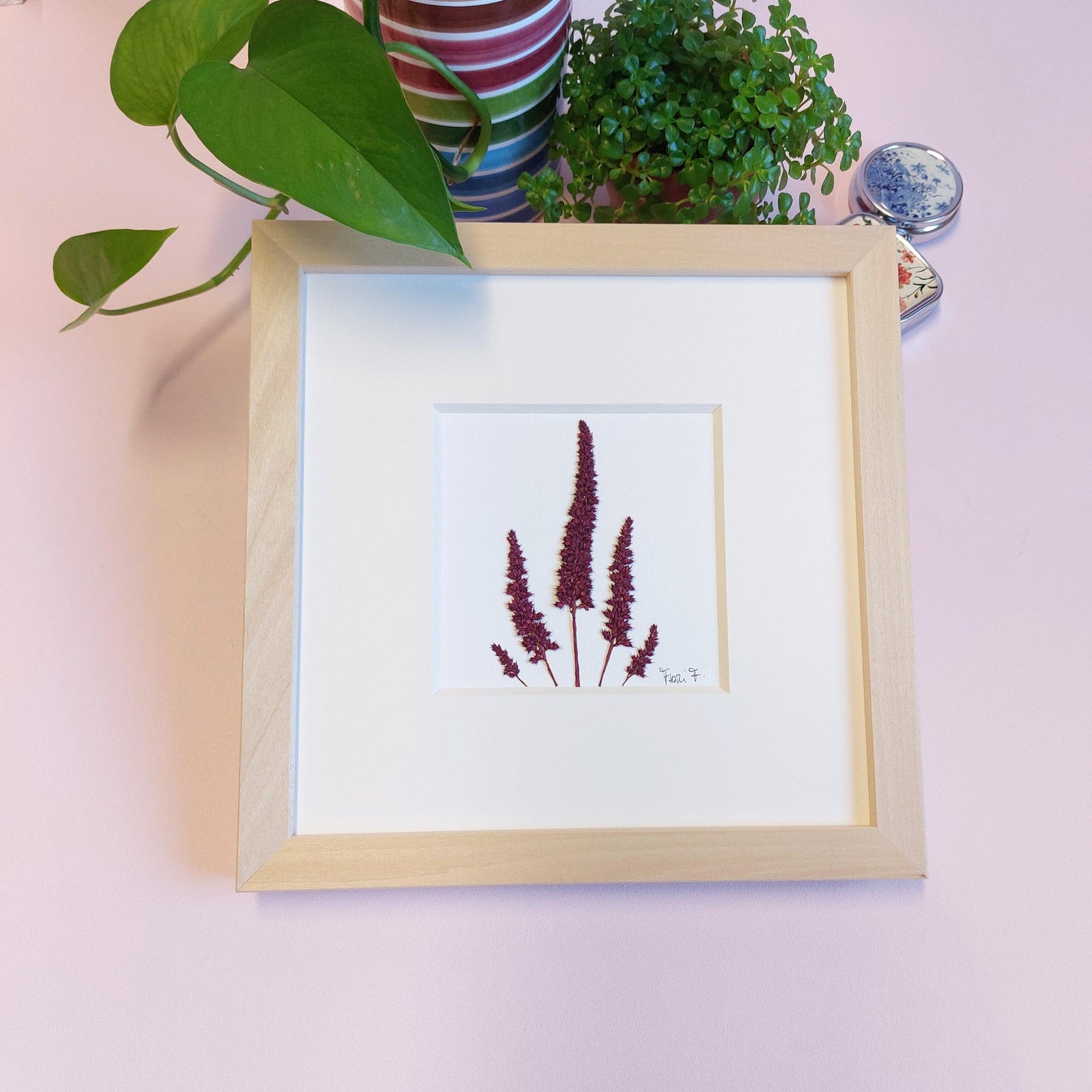 Herbier épuré encadré, réalisé avec des branches d'amarante rouge récoltées à Luxembourg dans les champs fleuris de Stéphanie à Kapenacker Blooms. Cadre en bois de tilleul faite en Italie. 