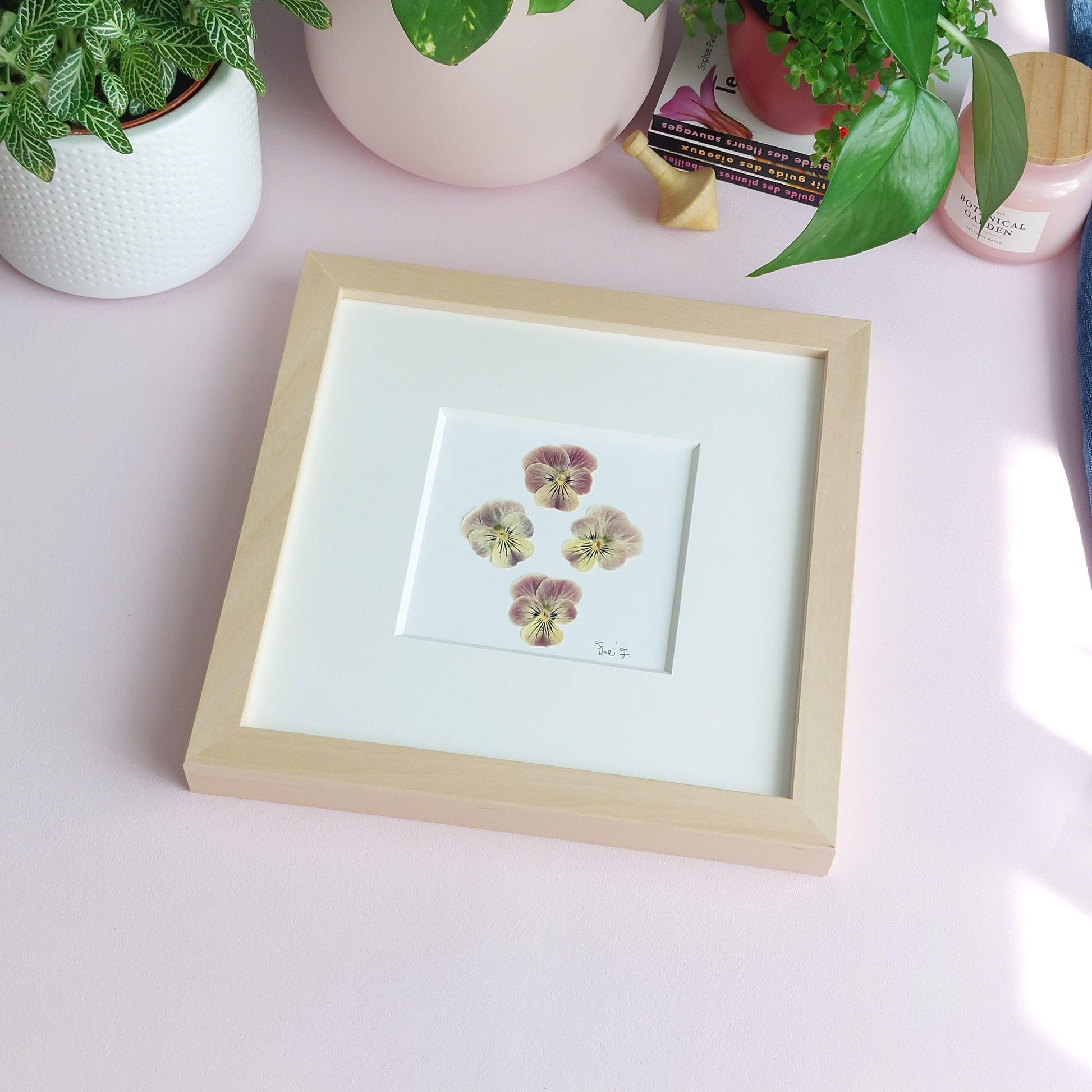 Herbier minimaliste réalisé avec des fleurs de pensées délicatement disposées et sublimées par un passepartout haut de gamme.  Cadeau Noel. Décoration bureau. Décoration chambre enfant. 