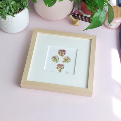Herbier minimaliste réalisé avec des fleurs de pensées délicatement disposées et sublimées par un passepartout haut de gamme.  Cadeau Noel. Décoration bureau. Décoration chambre enfant. 