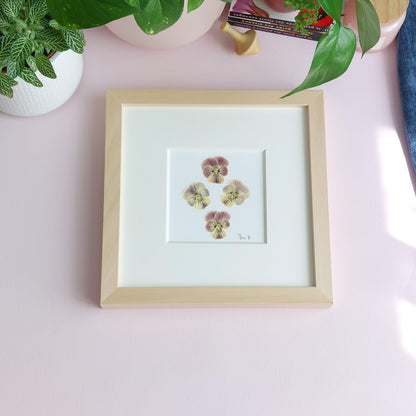 Herbier minimaliste réalisé avec des fleurs de pensées délicatement disposées et sublimées par un passepartout haut de gamme.  Cadeau Noel. Décoration bureau. Décoration chambre enfant. 